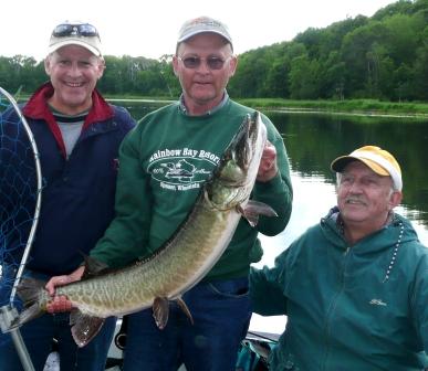 That's me, Dave, with a 45-inch musky that I caught and released on Benoit Lake.  Don M. was net man and George N. was captain.  June 2008, Rainbow Bay Resort.  Photo by Karen M.