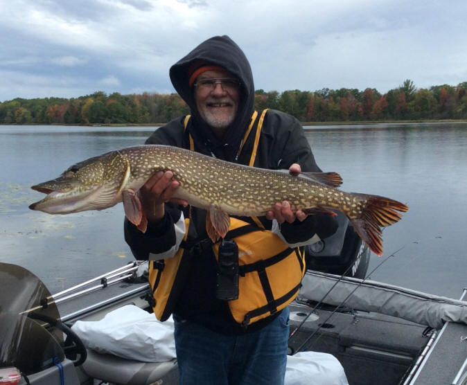 Dave R. caught and released this very nice 40-inch northern pike on Benoit Lake, October 1, 2019.  This established a new resort-record!  Congratulations David R!