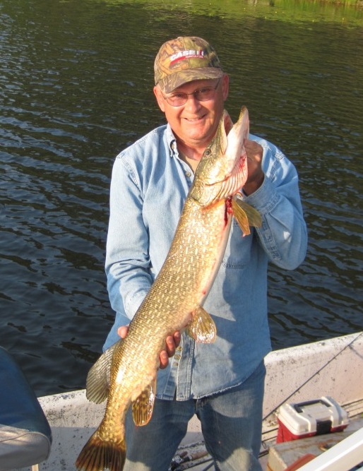 I caught and released this 36-inch pike on a nearby lake (Burnett County), July, 2019.