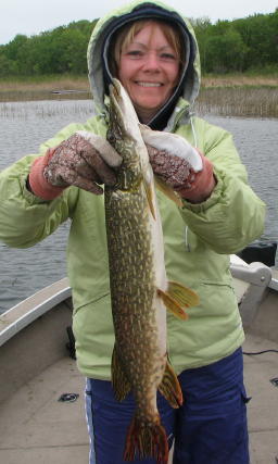 Deanna V. with a nice pike from Benoit, May 2007.