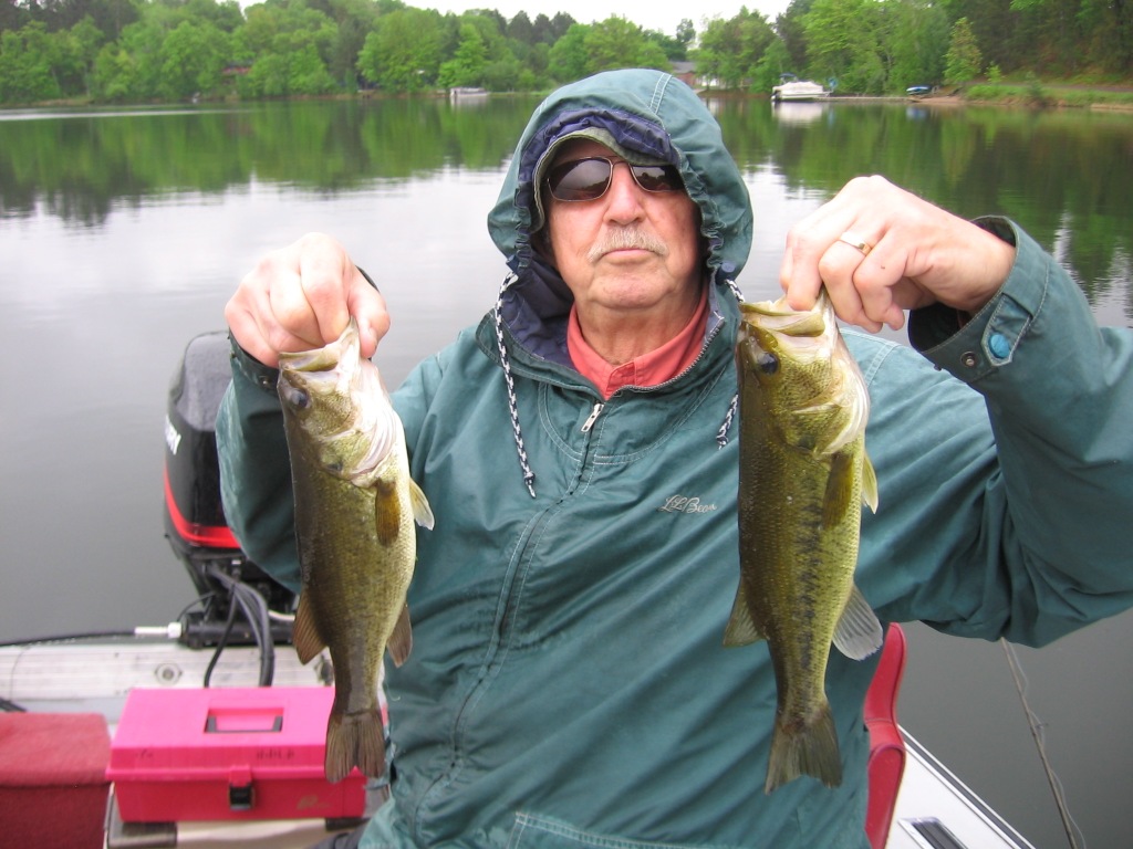 George N. with a couple of nice bass, Benoit Lake, June 2014.