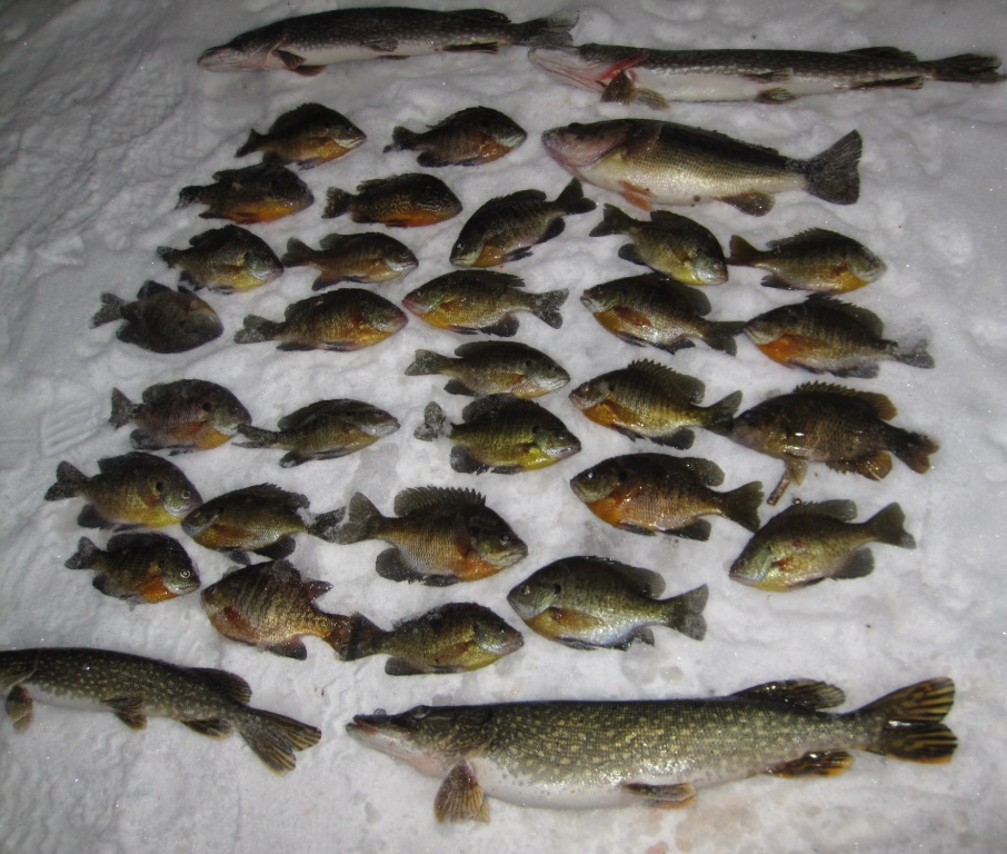 Bryan A. and I caught these fish on a Burnett County lake, January 14, 2023.