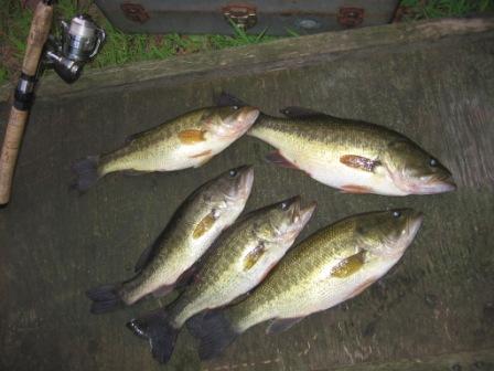 The bass came from Benoit Lake in August.