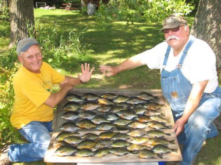 Dave Caithamer and Terry W. with a limit of bluegills they caught on a Burnett County, Wisconsin lake, August, 2017.