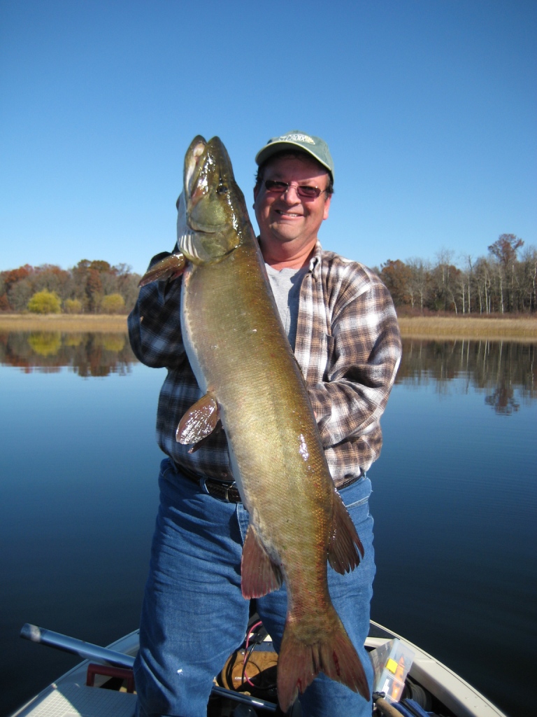 Kevin F. caught and released this 44.5 inch musky on Benoit on October 29.  Great job Kevin!