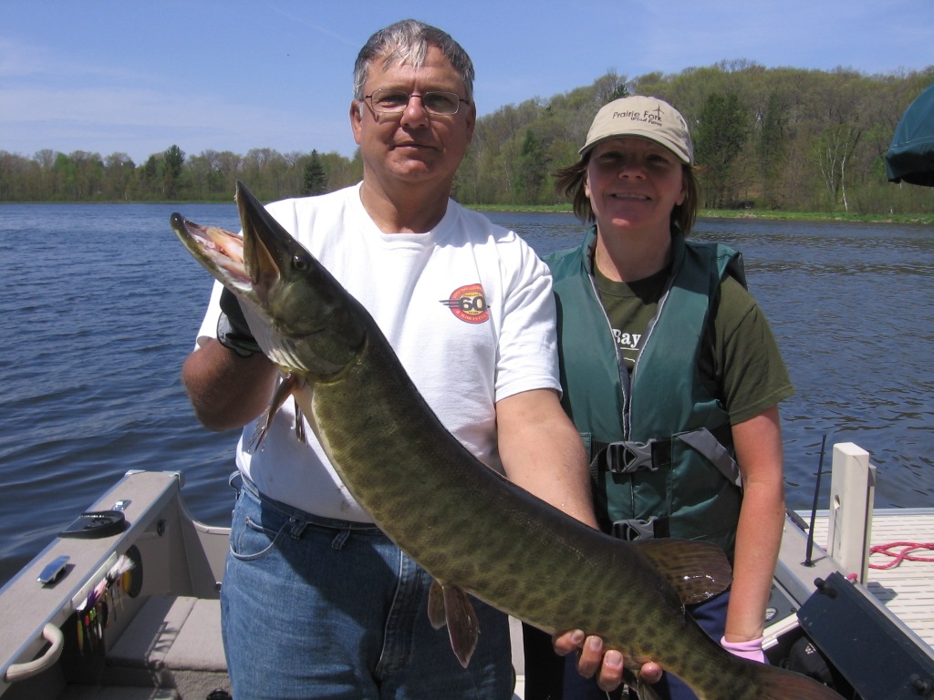 Martin and Deanna V. teamed up to catch and release this 34-inch musky in Benoit Lake, May 24, 2014.