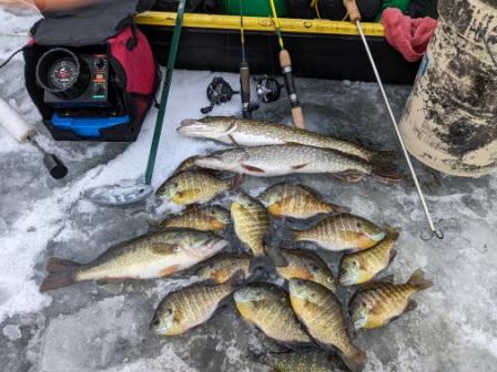 A good catch from a lake in Burnett County, Wisconsin, January 26, 2024.