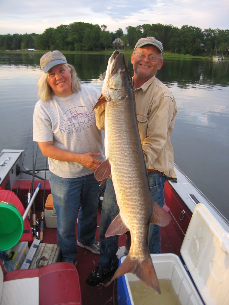 Jackie netted this nice musky that I caught and released on Benoit Lake, June 2014.