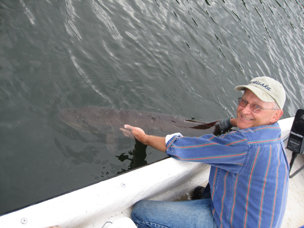 I released the 51-inch Benoit Lake musky.  It swam off strongly and right to the bottom.  Photo credit: Jacob Caithamer.