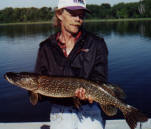 Frank used a live minnow on our floating dock to catch this beauty. He released the fish.